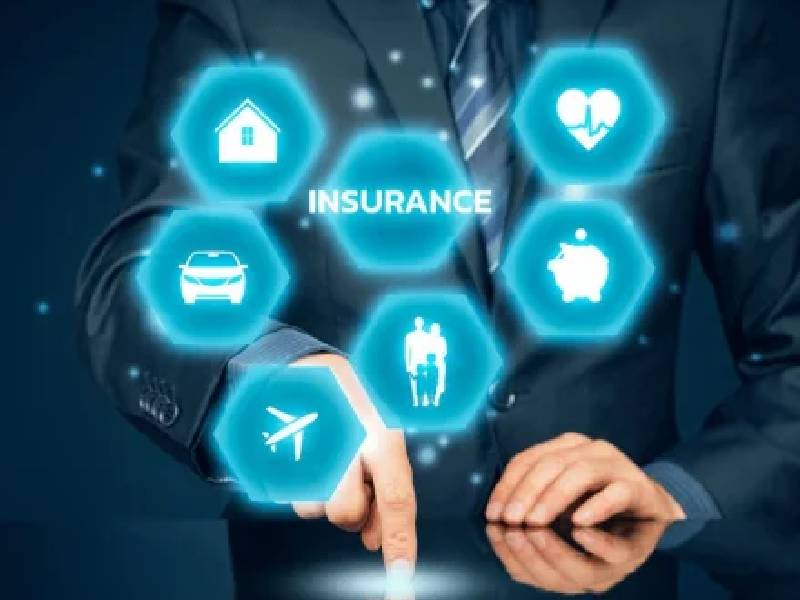 Policy Plan Insurance Insurance Team